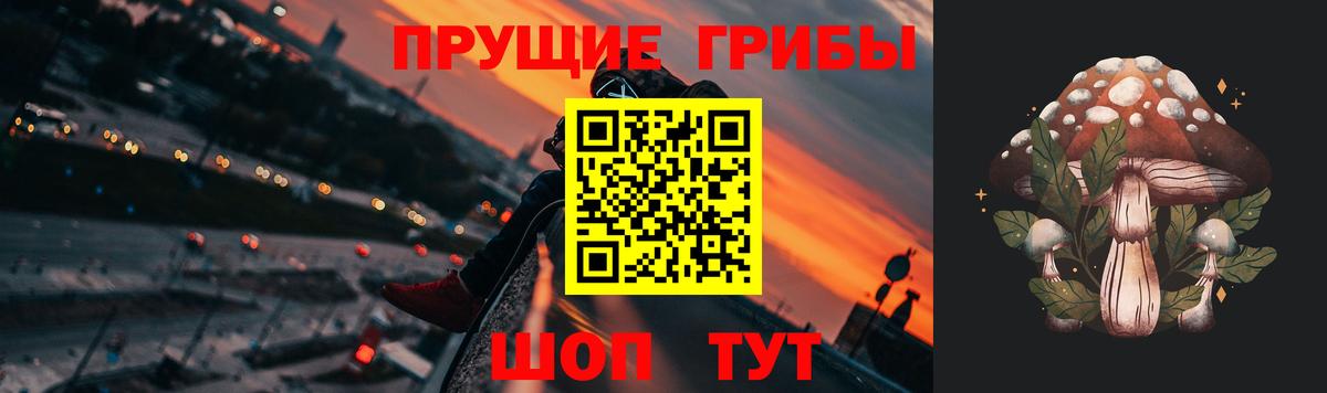Псилоцибиновые грибы мухоморы Елизово